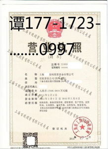 轉(zhuǎn)讓投資咨詢公司多少錢？深度解析轉(zhuǎn)讓與咨詢服務(wù)的關(guān)鍵因素
